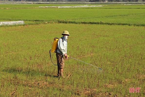 Tùy tiện sử dụng thuốc bảo vệ thực vật sẽ gây nhiều hệ lụy